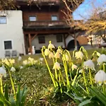 Morgensonne *