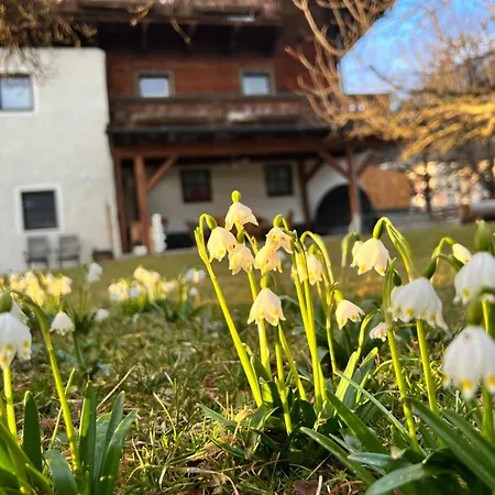 Morgensonne *