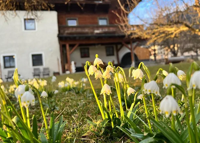 Morgensonne *